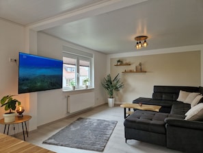 Un salon équipé d’un téléviseur à écran plat, d’un canapé, d’une table basse, d’un tapis, d’une plante en pot et d’un luminaire au plafond.