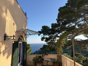 Ein Balkon mit Meerblick, einem Tisch und einem Blumentopf.