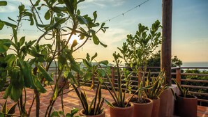 Plantas en macetas en una terraza con vistas al mar.