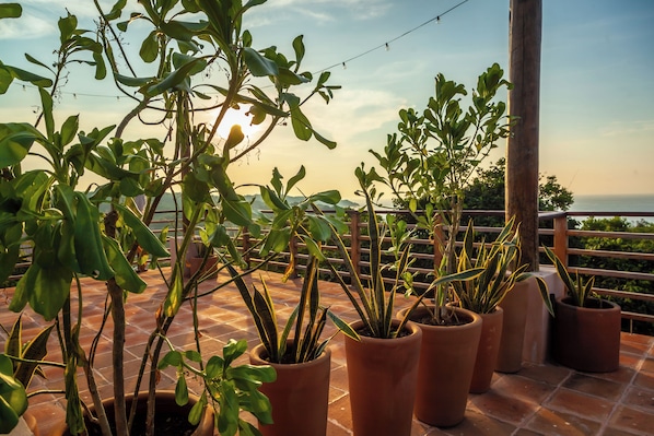 Potted plants on a terrace with a view of the sea. - Casa Atma Mazunte (Mazunte)