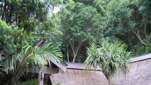 A rustic building with a thatched roof, surrounded by lush greenery. - Pension Blue Marlin (Hachijo)