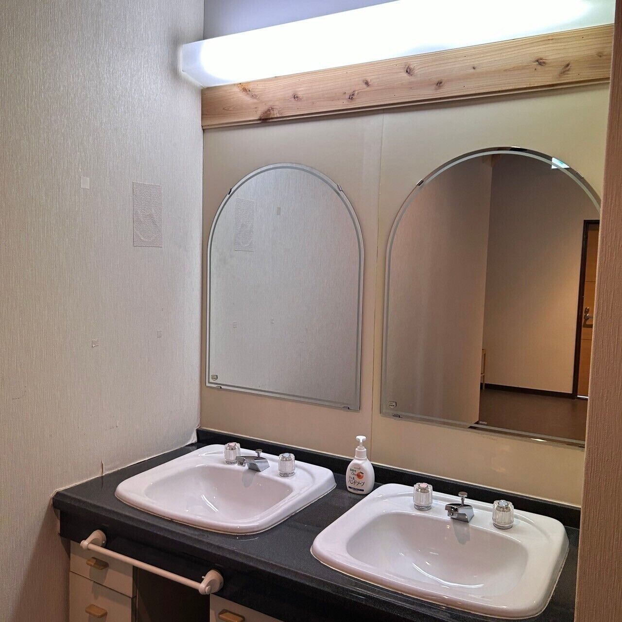 Une salle de bain avec deux lavabos, un miroir et un distributeur de savon.