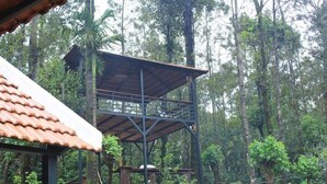 A wooden structure with a metal framework, surrounded by dense forest.