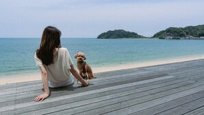 A wooden deck by a beach with a person and a dog. - Alfacio Resort Stay Itoshima (Shimukappu)