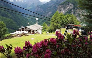 Property grounds - Glamping Alpe Campo Rimasco (Rimasco)