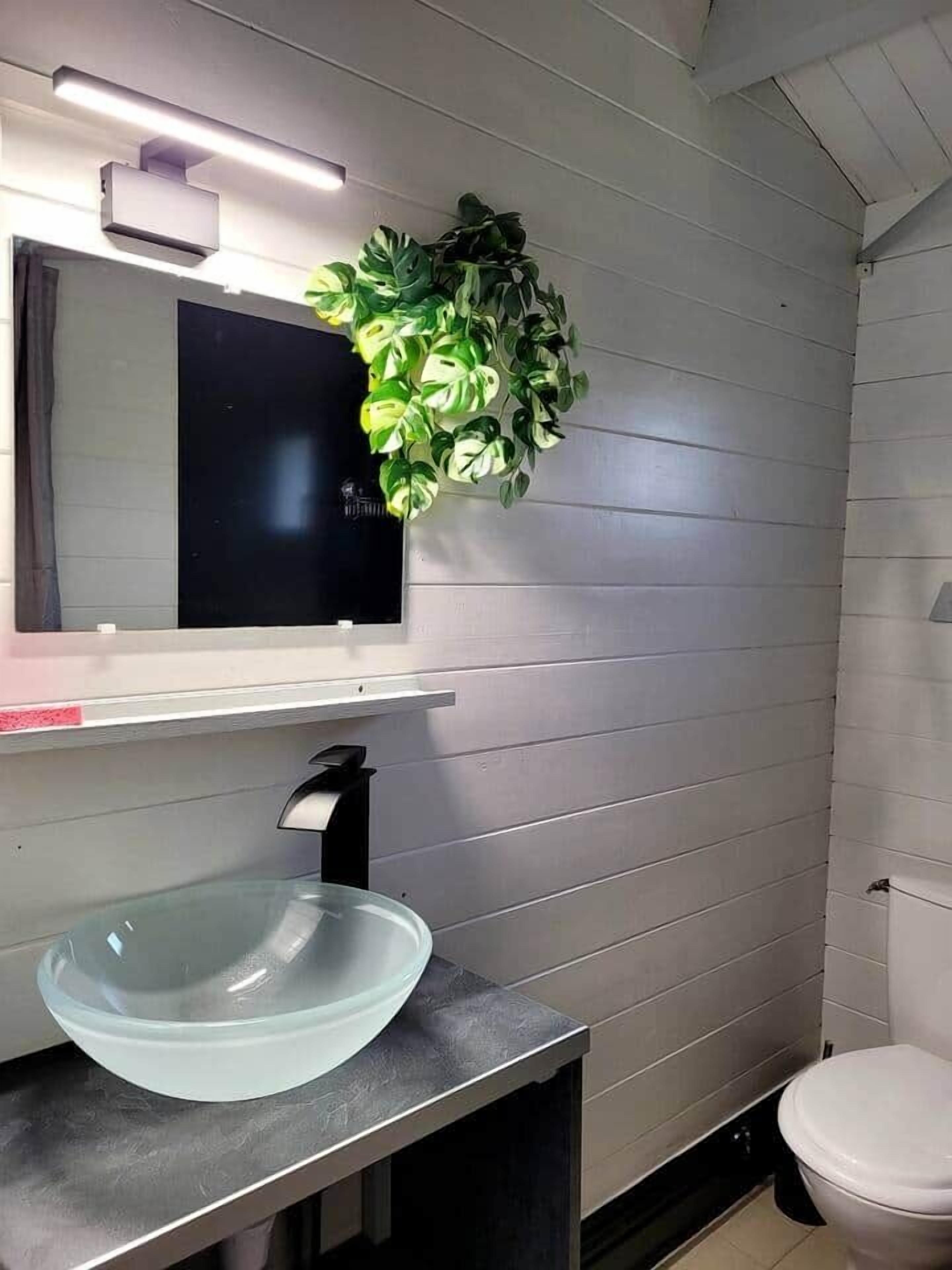 Une salle de bain avec un miroir fixé au mur, un lavabo avec un récipient en verre et des toilettes.
