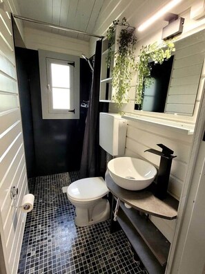 Shower, hair dryer, towels, toilet paper