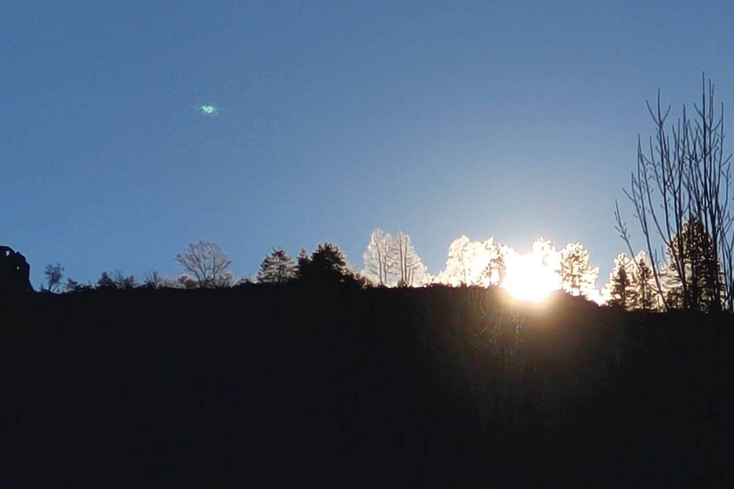 A silhouette of trees against a clear sky with the sun setting or rising.