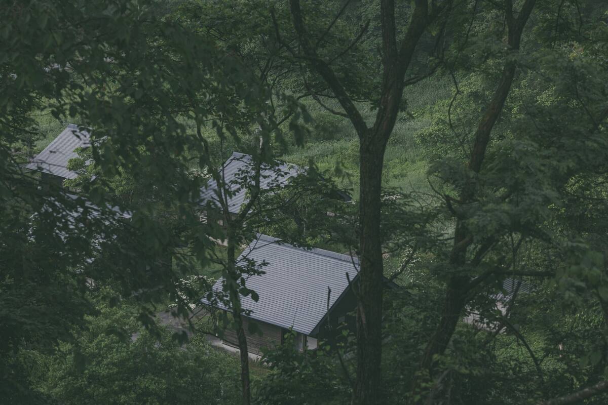 Una casa rodeada de un bosque frondoso.