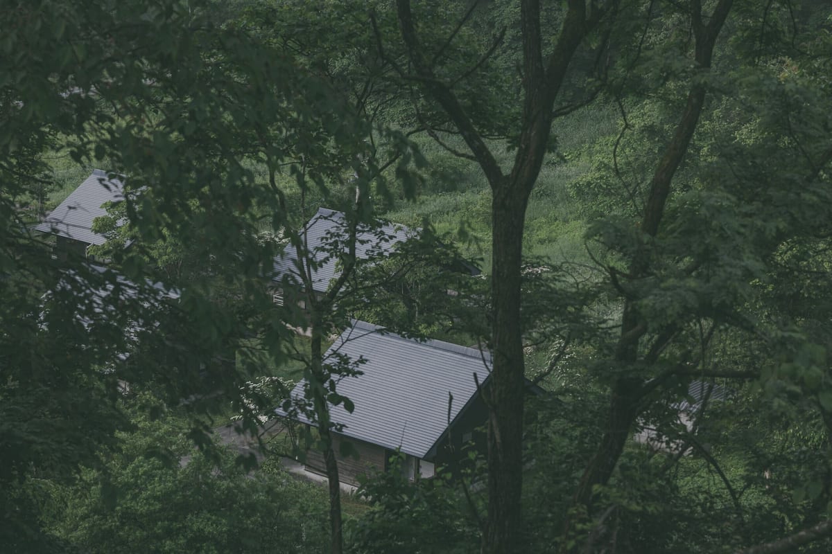 Une maison entourée d’une forêt dense.