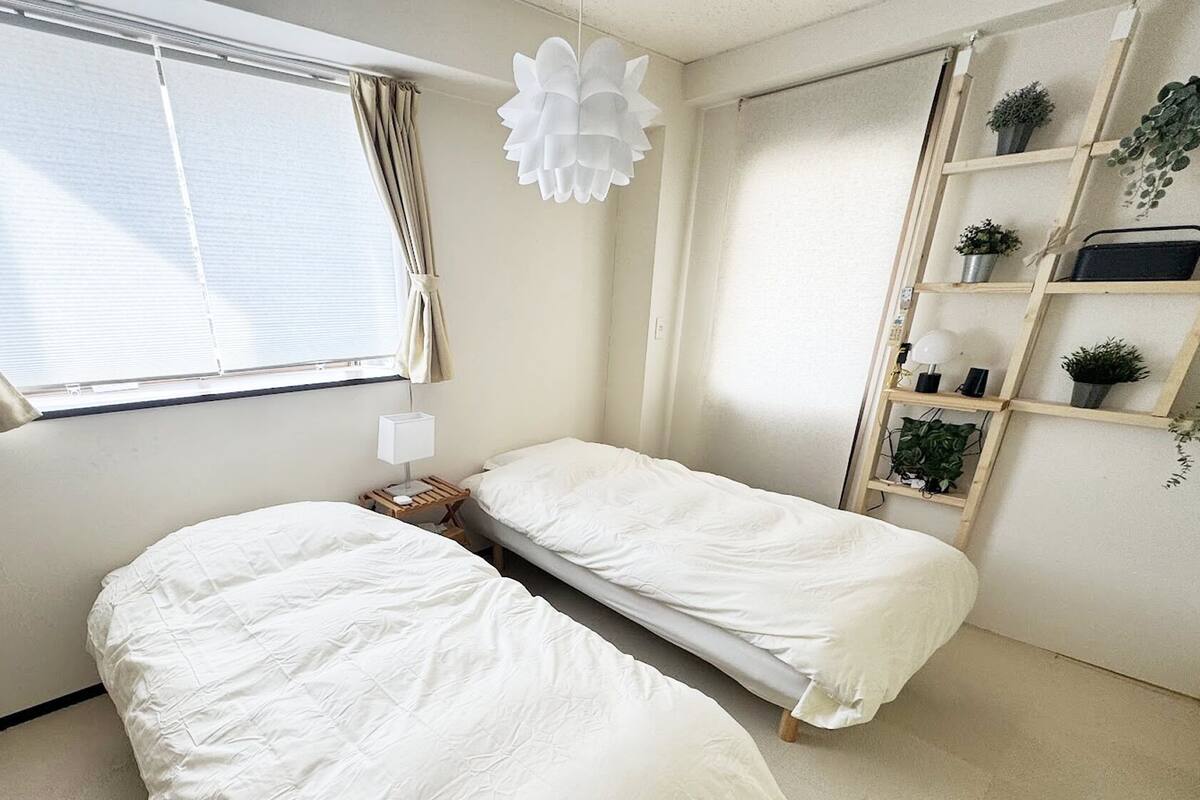 A bedroom with two beds, a window with curtains, a bedside table with a lamp, and a shelving unit with plants.