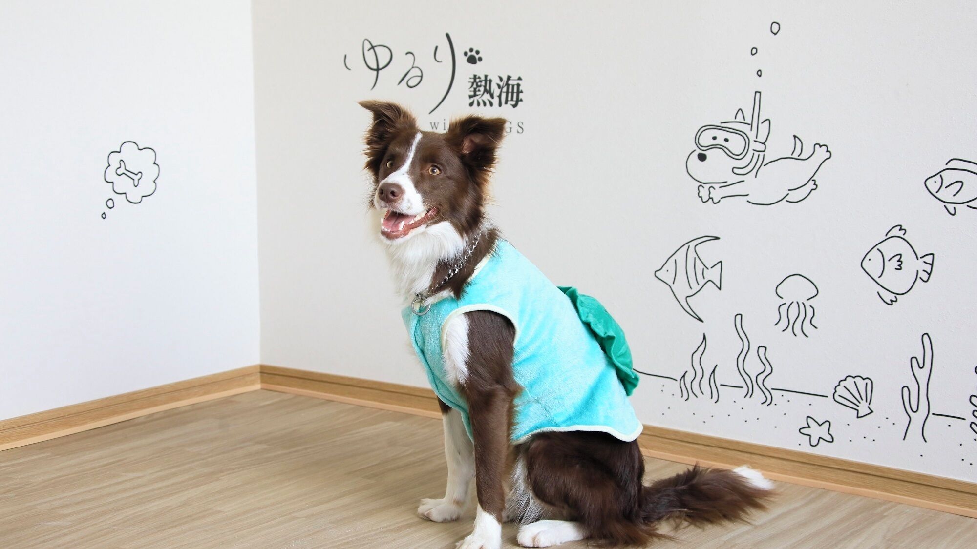 A dog in a room with a wall decorated with fish and underwater drawings.