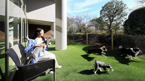 Yururi Atami With Dogs