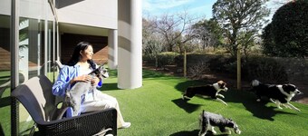 Yururi Atami With Dogs