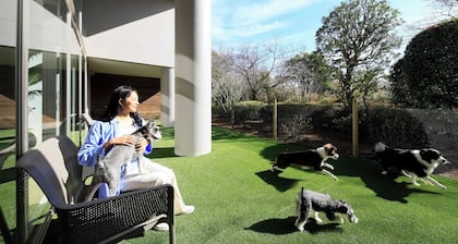 Yururi Atami With Dogs