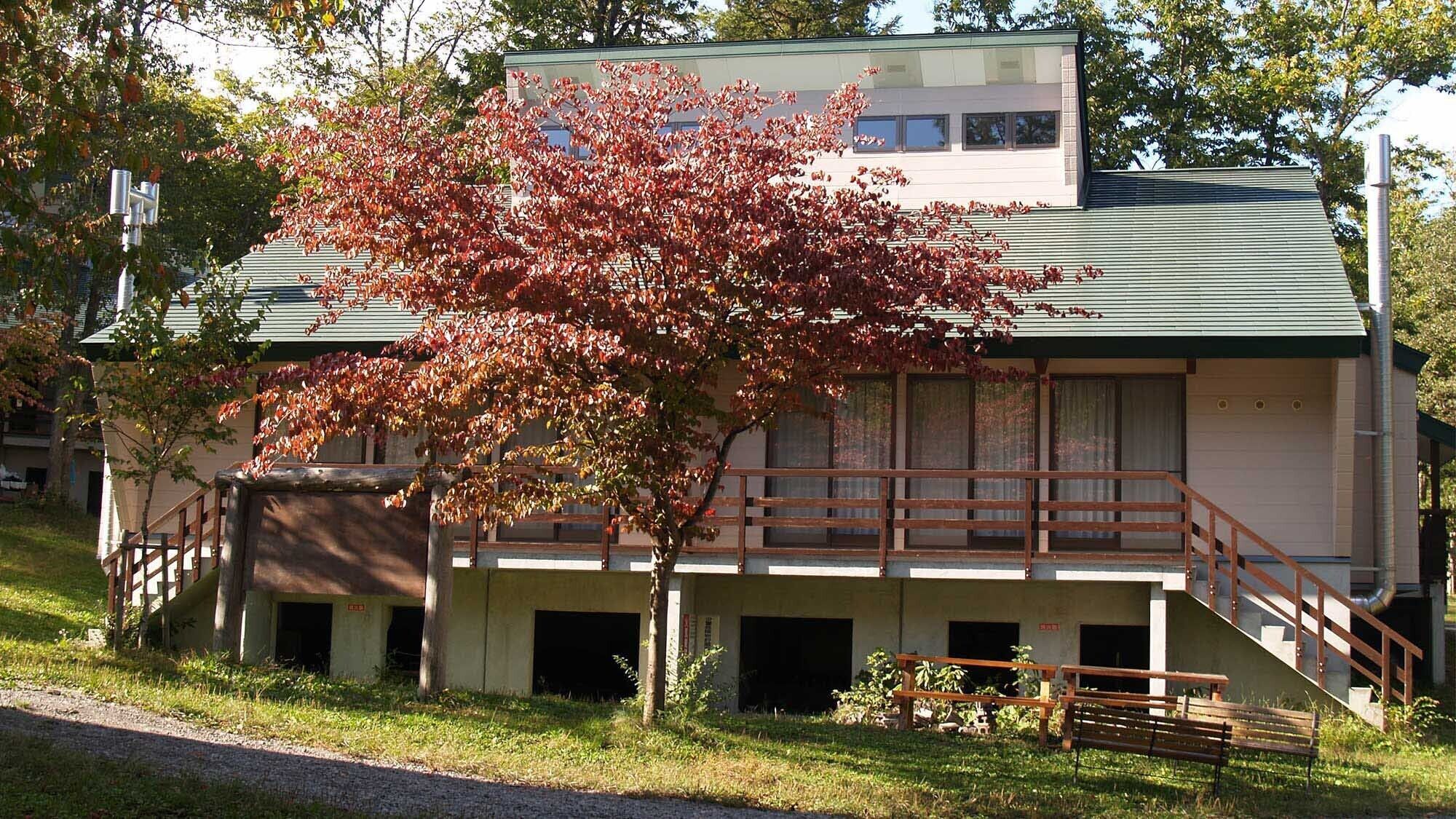 Un edificio con un tetto verde, una scala in legno e un albero con foglie rosse.