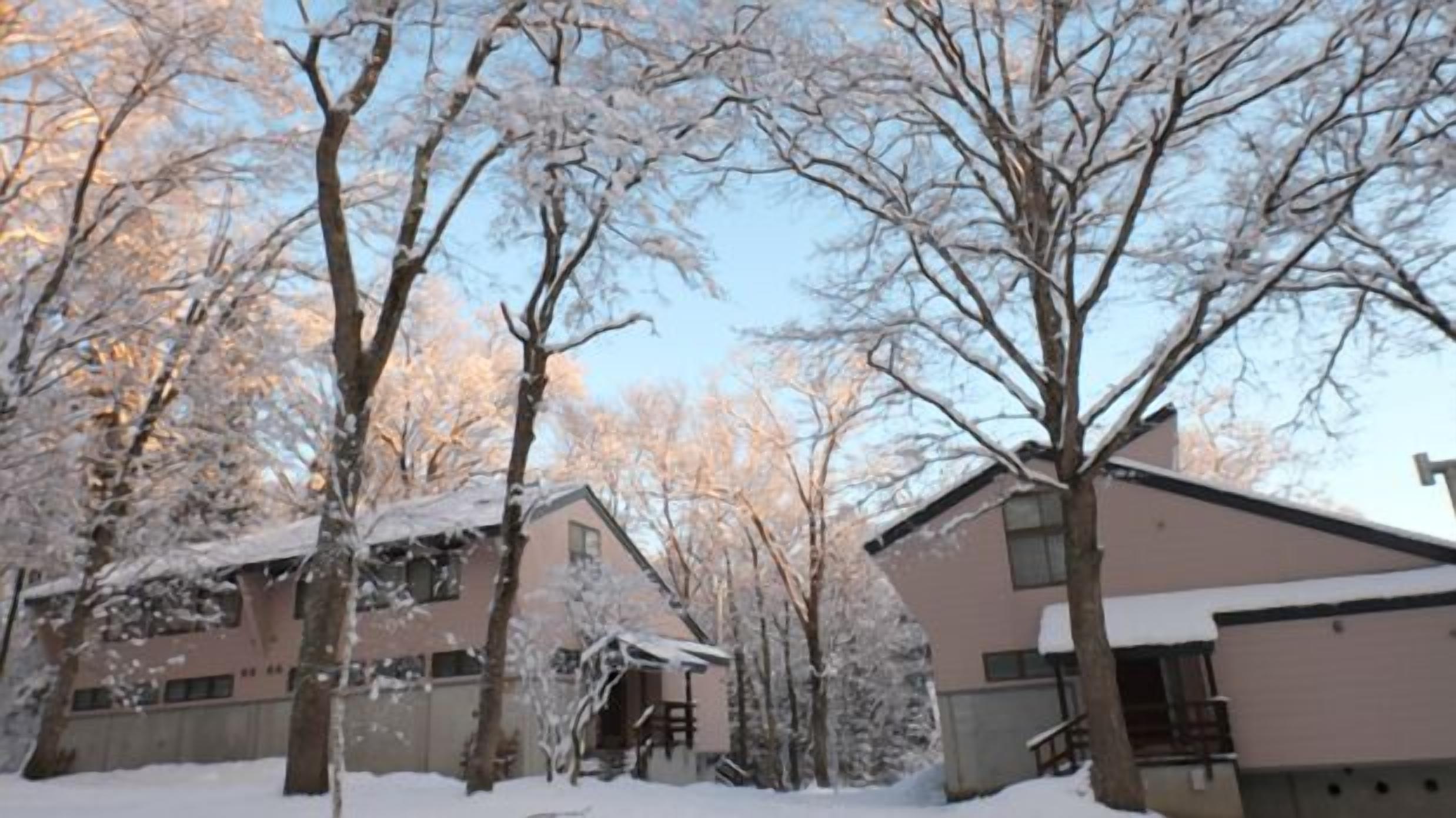 Quartiere residenziale con alberi e case innevate.