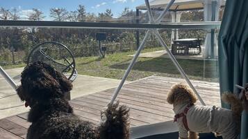 Una caseta para perros con vistas despejadas al exterior, una terraza de madera y un área de estar cubierta.