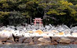 Miscellaneous - Elbe (Hatsukaichi)