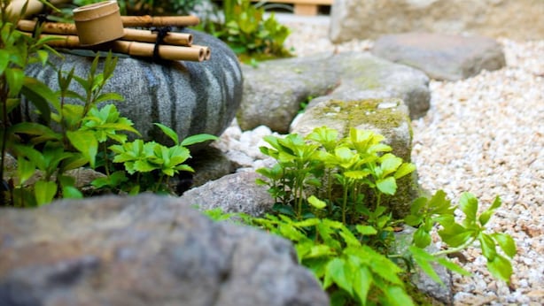Un giardino tradizionale giapponese con un vialetto in pietra, bambù e vegetazione.