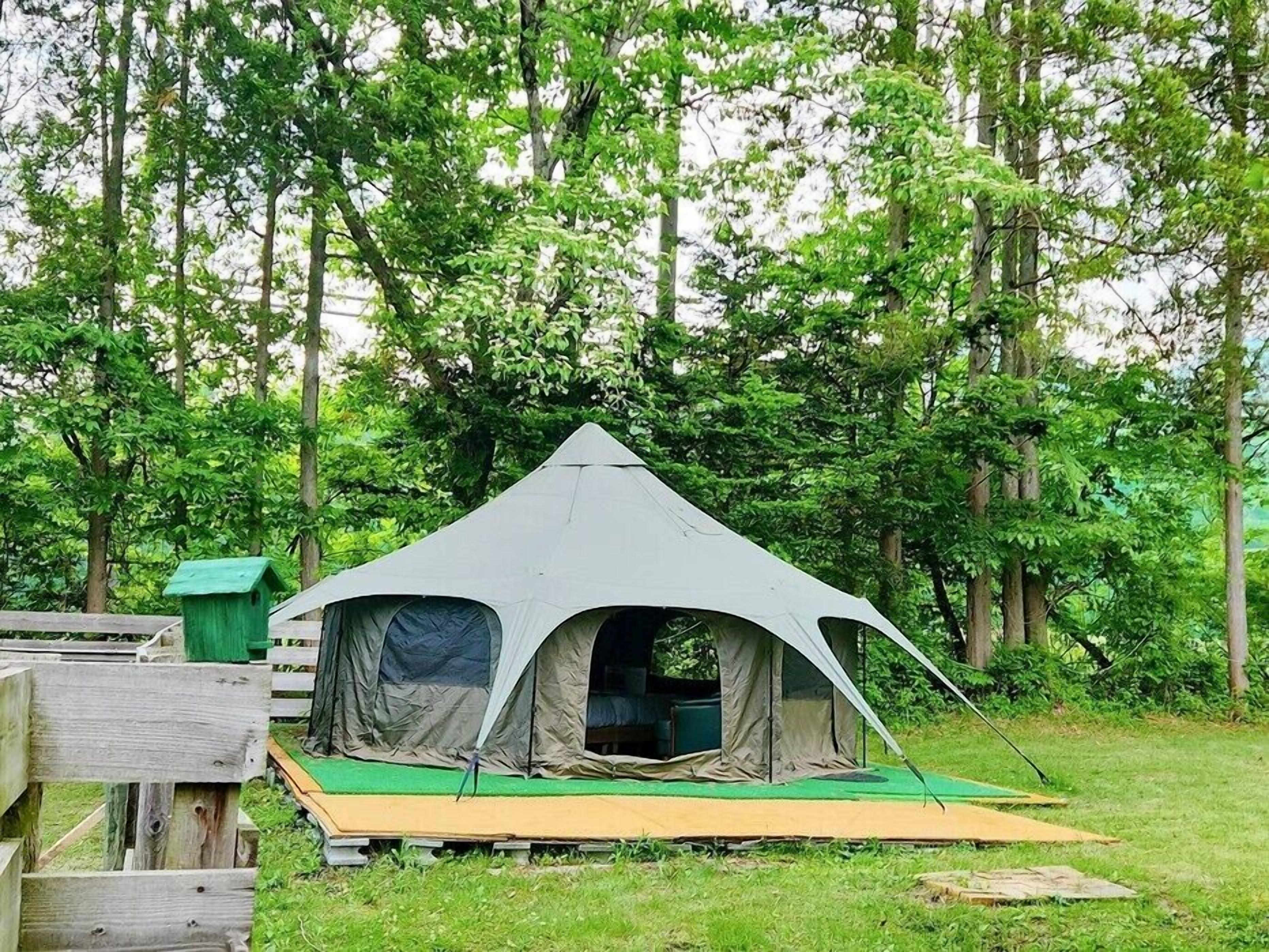 Een tent met een groen platform in een bebost gebied.