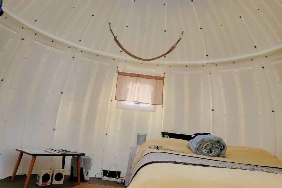 A room with a bed, a table, and a ceiling fan.