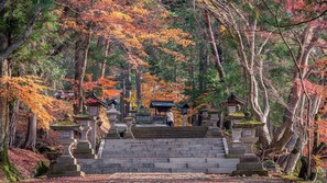 Miscellaneous - WAT Resort Hida Machiyado Sakura (Takayama)