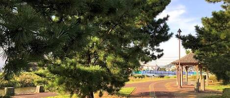 Un parque con un quiosco, un sendero y un puente al fondo.