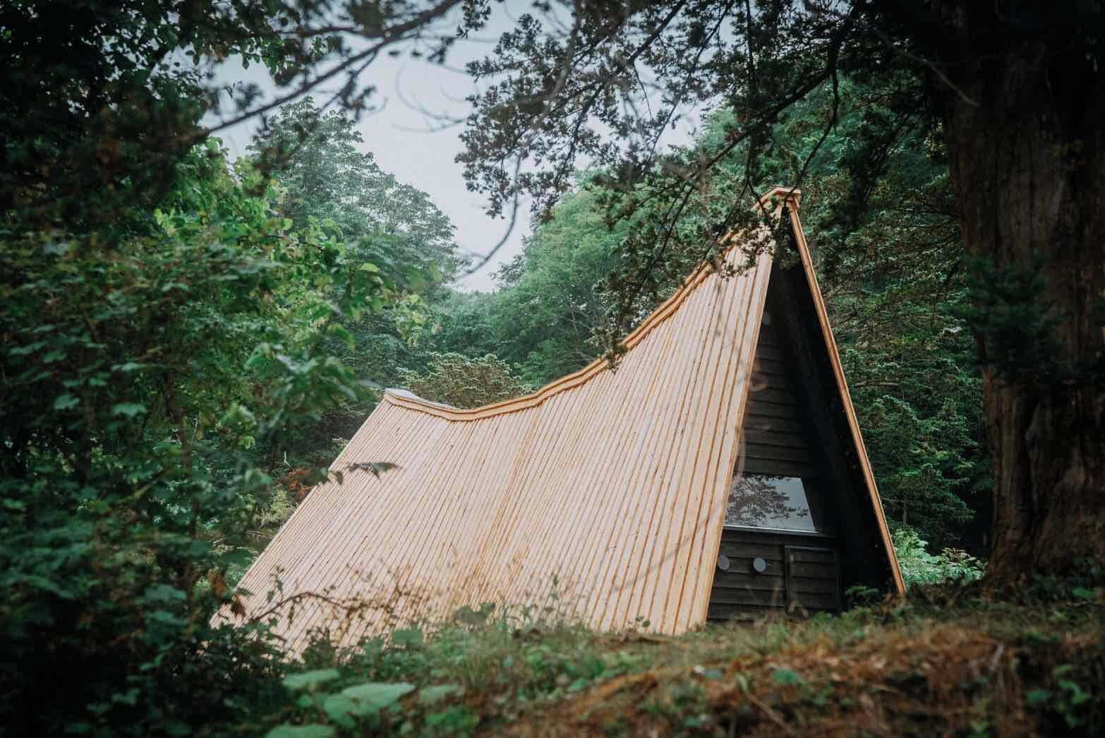 Una estructura de madera con techo inclinado, rodeada de un bosque denso.