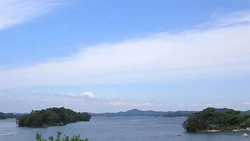 Eine Küstenlandschaft mit einem Gewässer, einer kleinen Insel und Bergen in der Ferne.