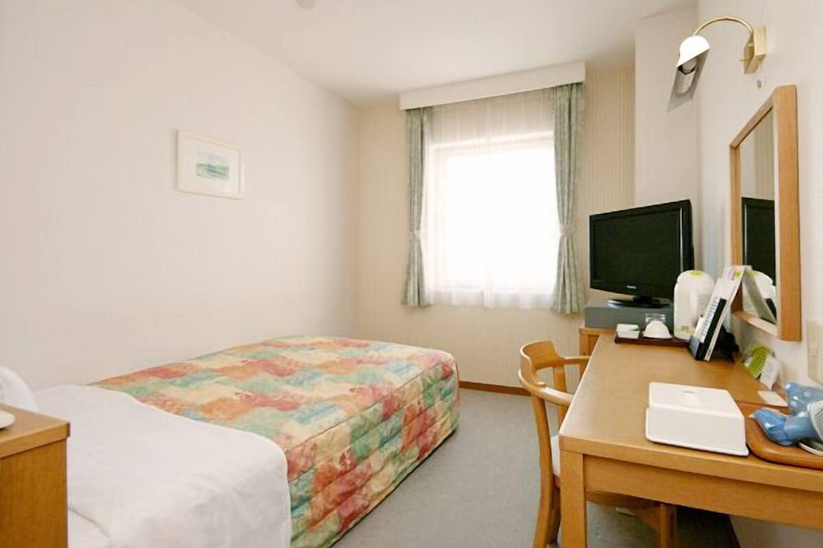 A hotel room with a bed, a desk, a chair, a television, and a window with curtains.