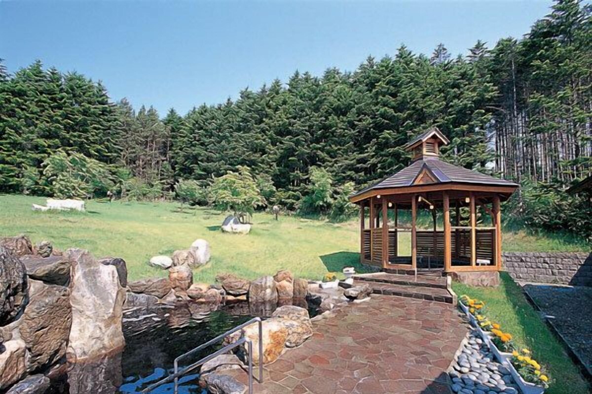 A gazebo with a stone pathway leading to a pond, surrounded by a grassy area and dense trees.