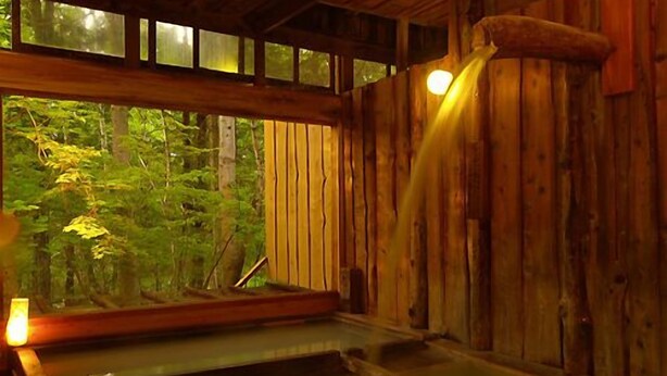 A wooden cabin interior with a hot tub and a window overlooking a forest. - Shibu Tatsunokan (Chino)