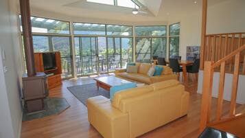 Smart TV, fireplace, DVD player, video library