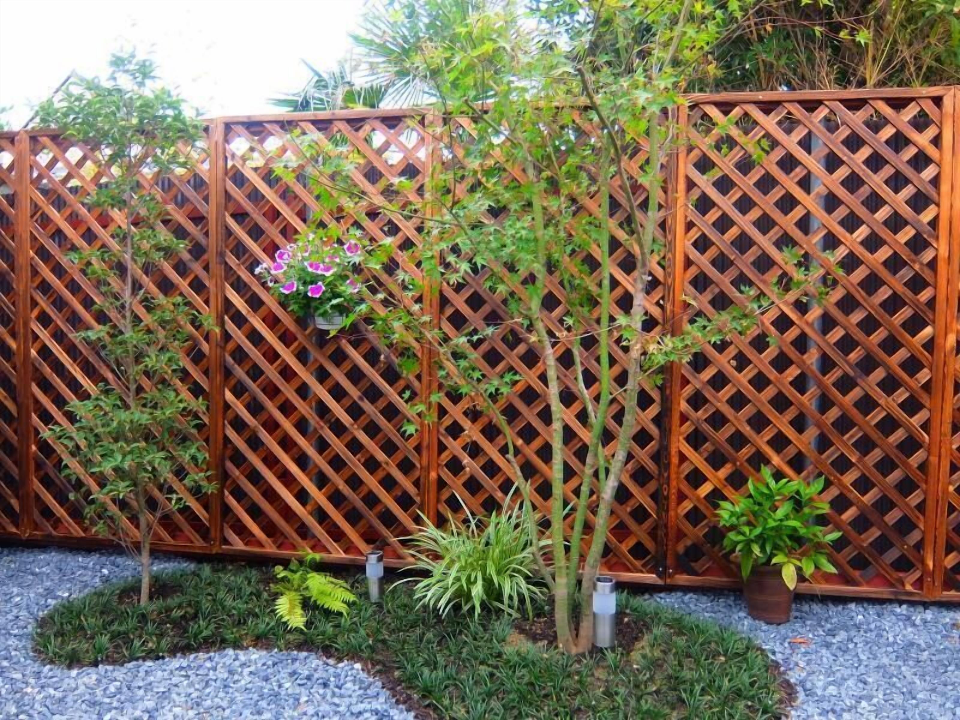 Khuôn viên nơi lưu trú