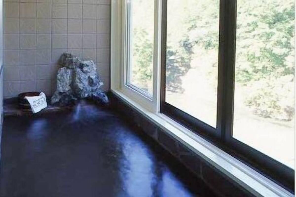 A room with a dark floor, a stone feature, and a window with a view of greenery.