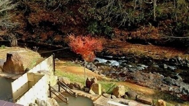 A traditional Japanese onsen with a stone bath, wooden steps, and a natural setting. - Obokoso (Yakumo)