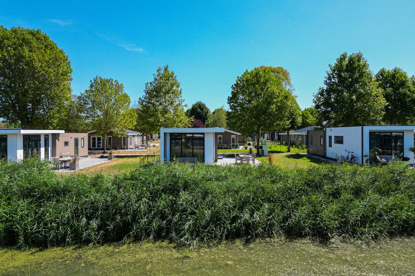 A row of modern, single-story mobile homes with outdoor seating areas, surrounded by lush greenery and trees.