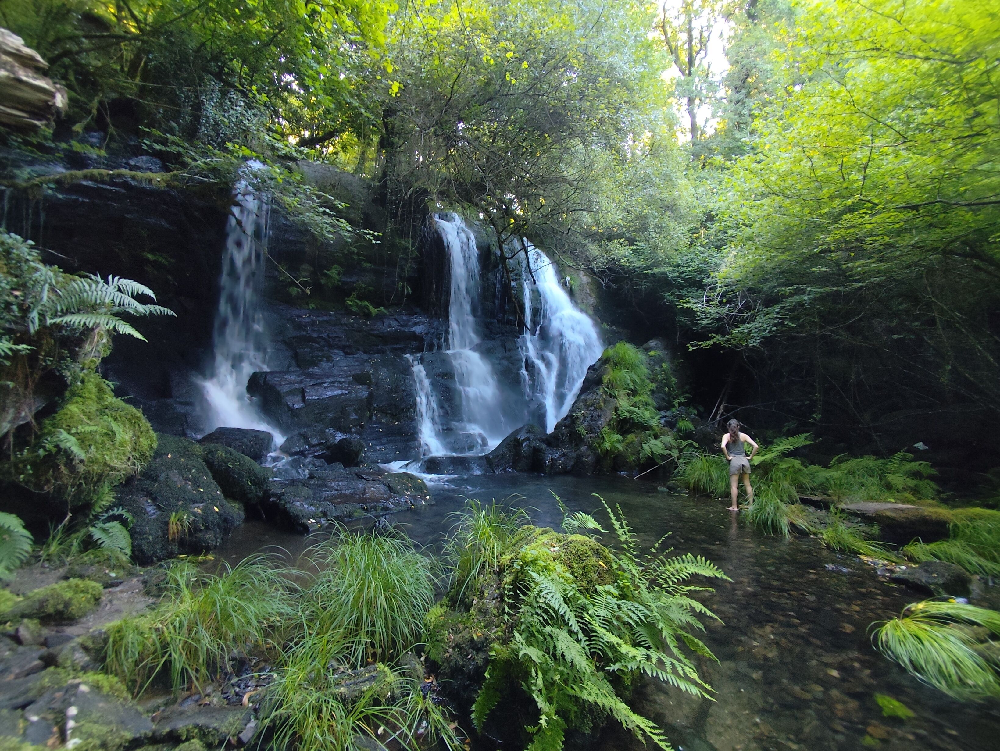 Una cascata in una zona boschiva con acque cristalline e vegetazione circostante.