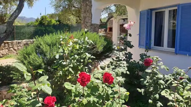A garden with red roses, a stone wall, and a building with blue shutters. - Dependance Cugnana, surrounded by greenery and away from the chaos (Olbia)