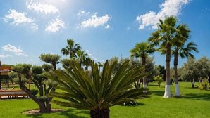 Ein gepflegter Rasen mit einer zentralen Palme, umgeben von weiteren Palmen und Sträuchern.