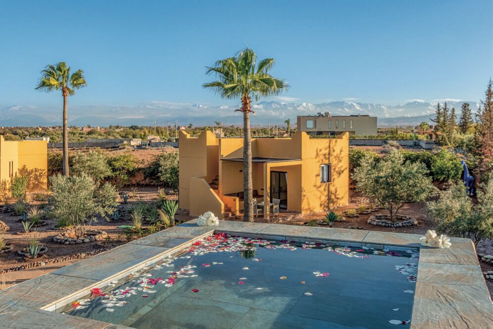 Suite, pemandangan gunung