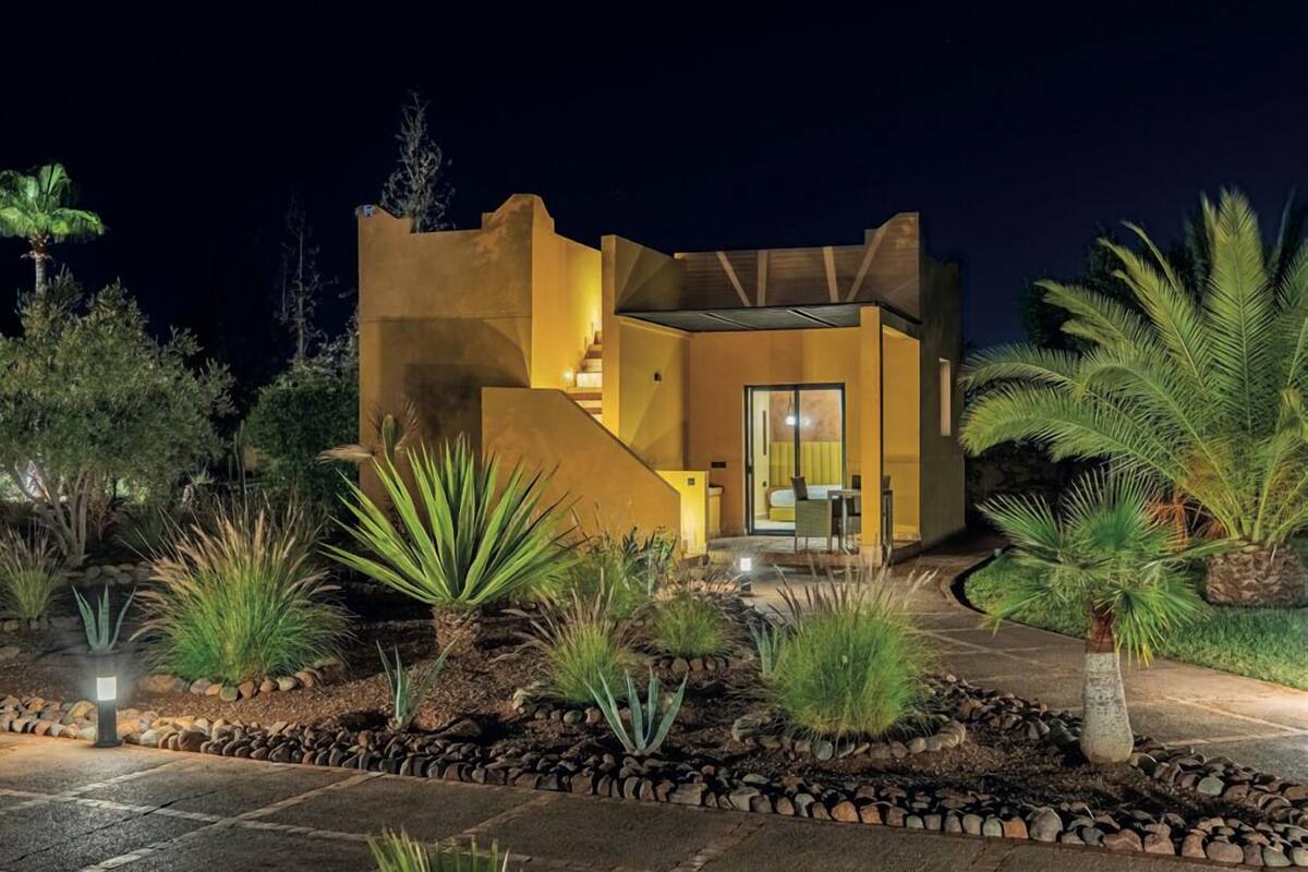 A modern house with a stone pathway, palm trees, and a well-lit entrance.
