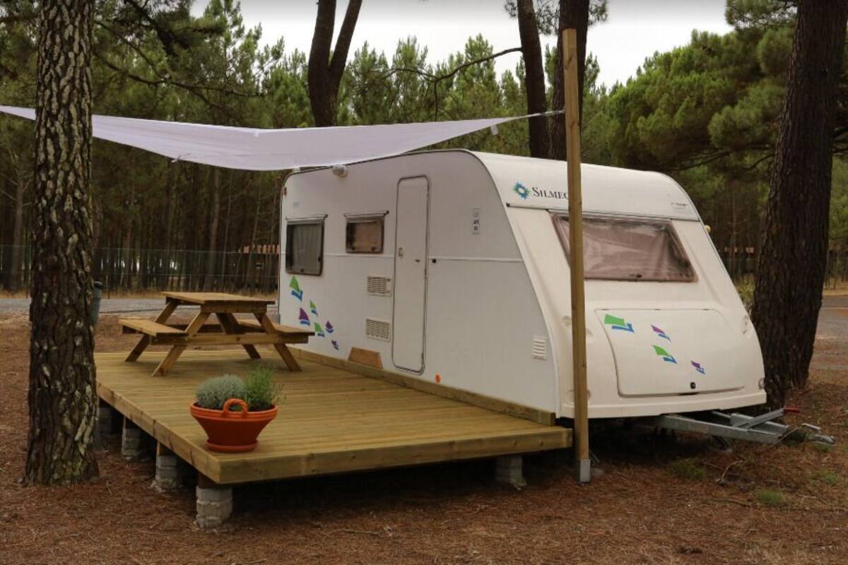 Un camping-car blanc doté d’une terrasse couverte, d’une table de pique-nique et d’un pot de fleurs.