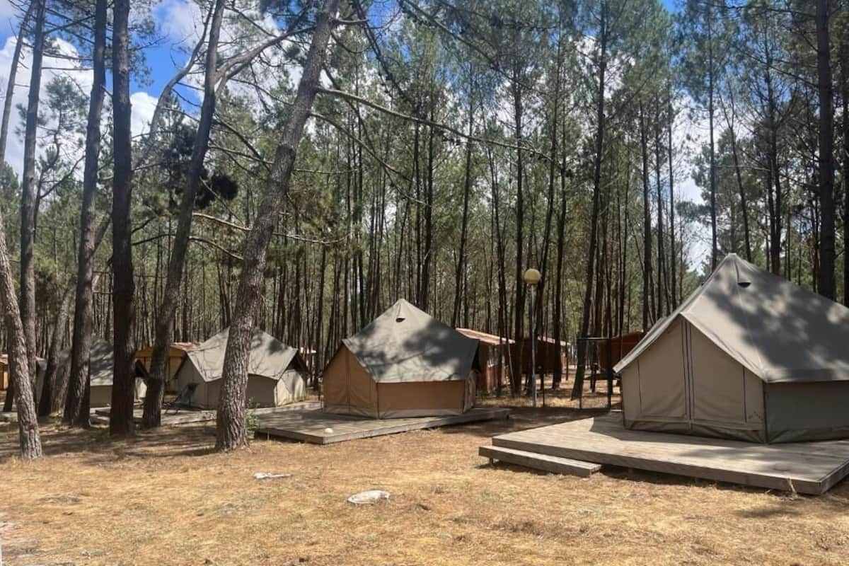 Un terrain de camping avec plusieurs tentes et une terrasse en bois.