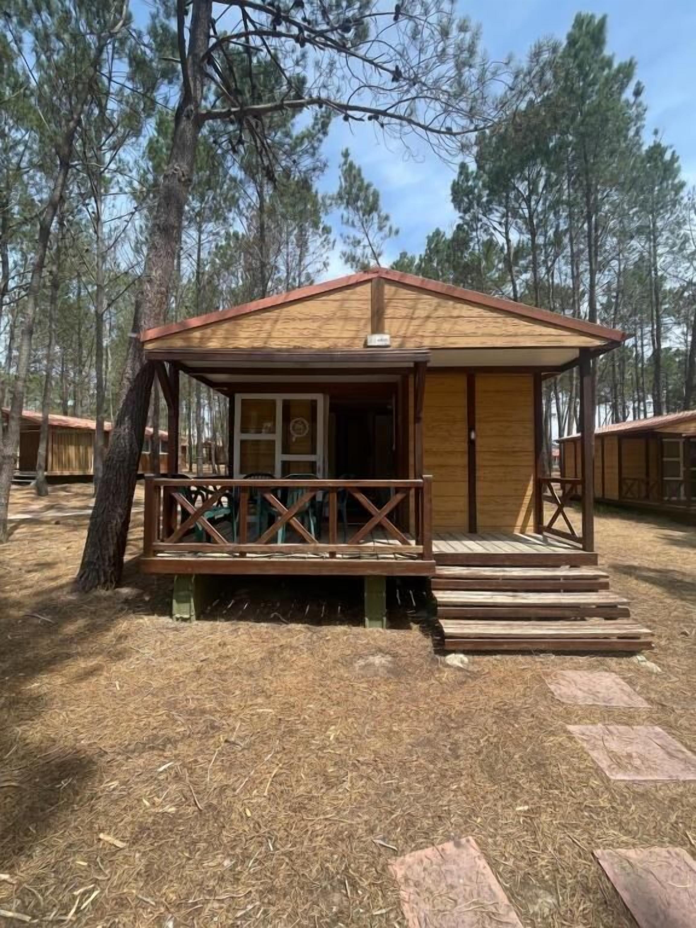 Basic Bungalow | Terrace/patio