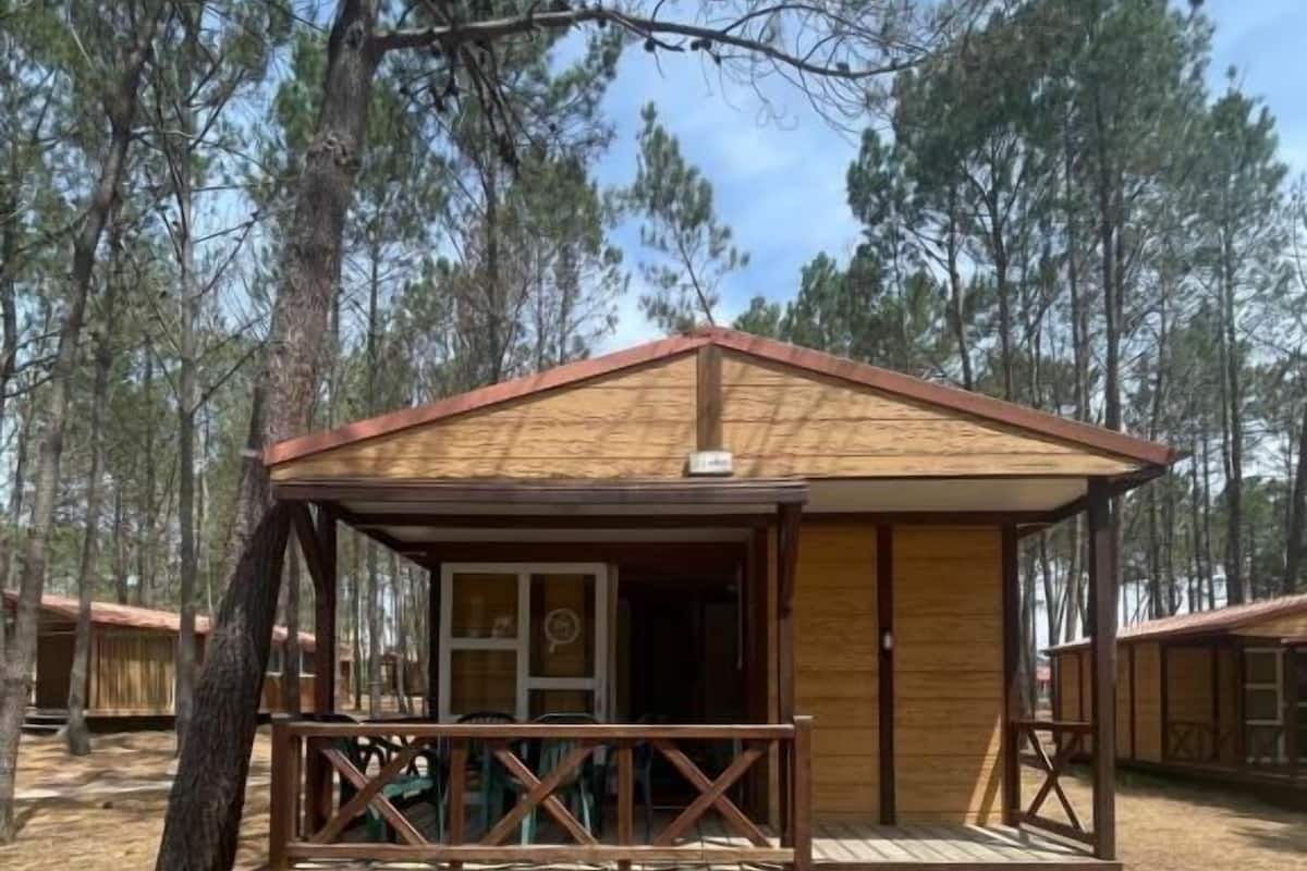 Une petite cabane en bois dotée d’un porche, entourée d’arbres.