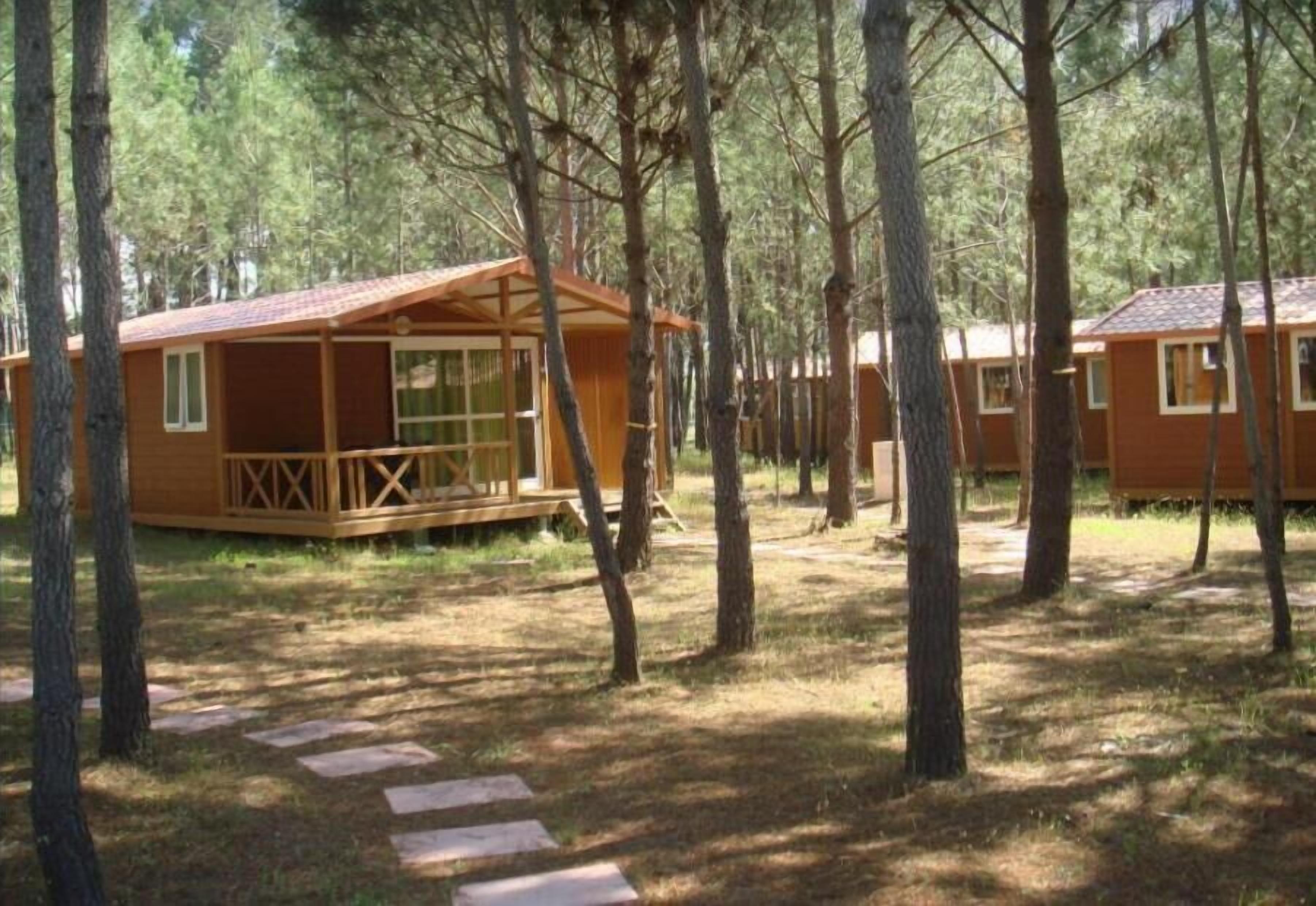 Bungalow Basic | Exteriör