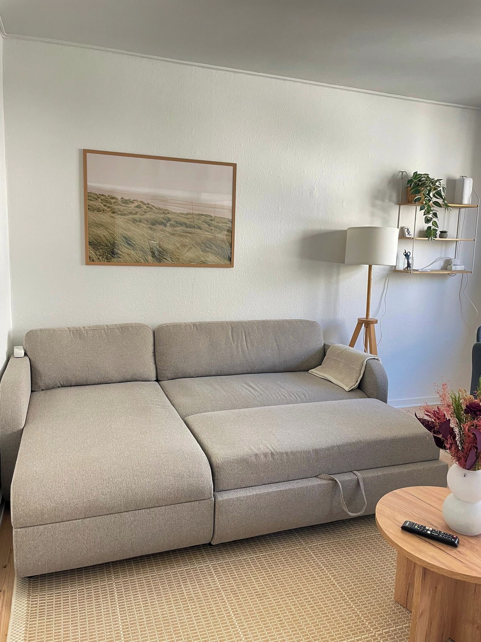 Een woonkamer met een bank, een lamp, een bijzettafeltje met een afstandsbediening en een plant.