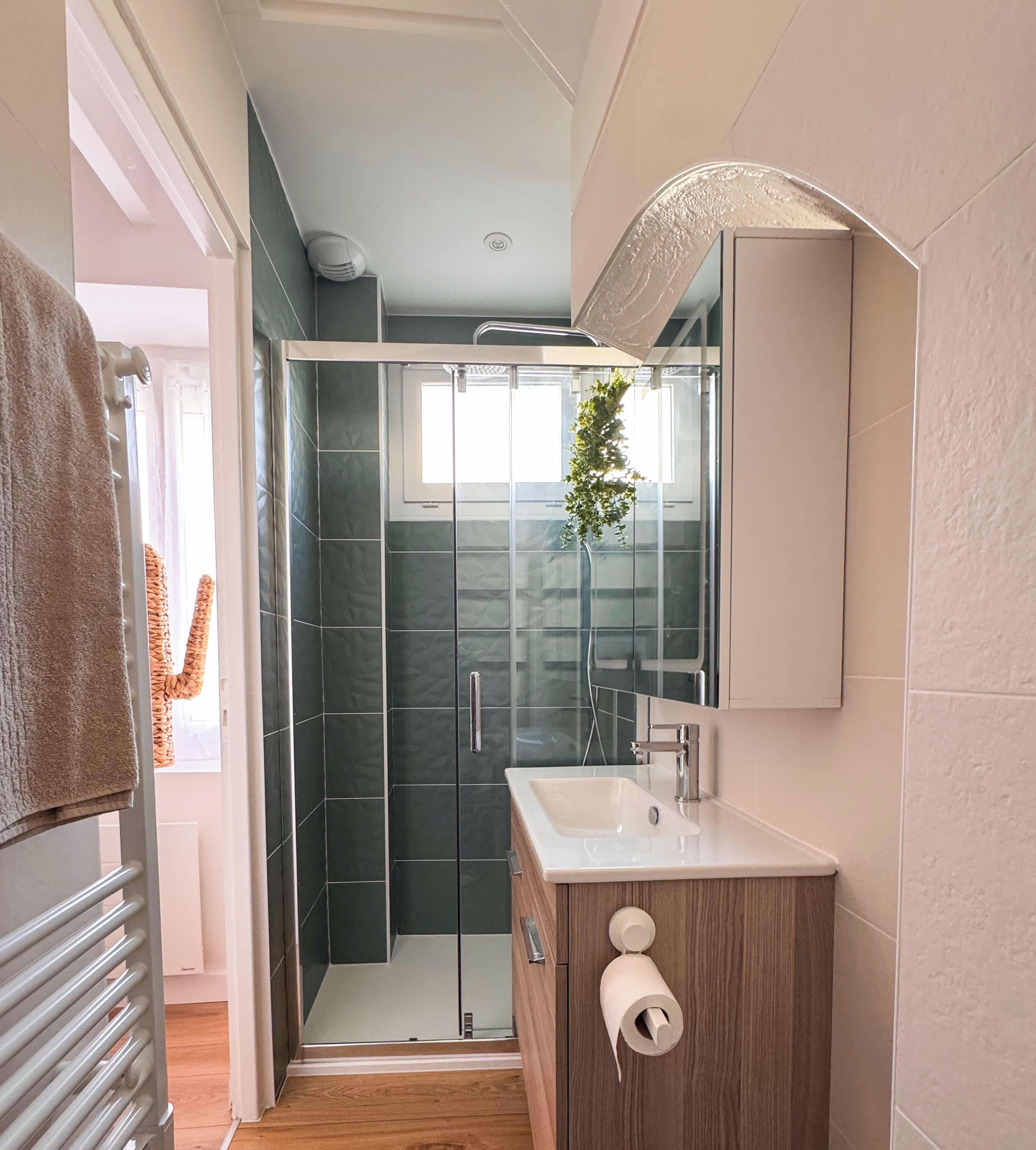 Shower, hair dryer